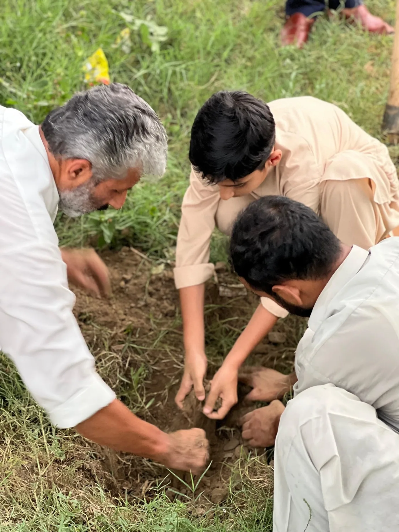 Three men of different generations planting a sapling together during a Mashaal plantation drive.